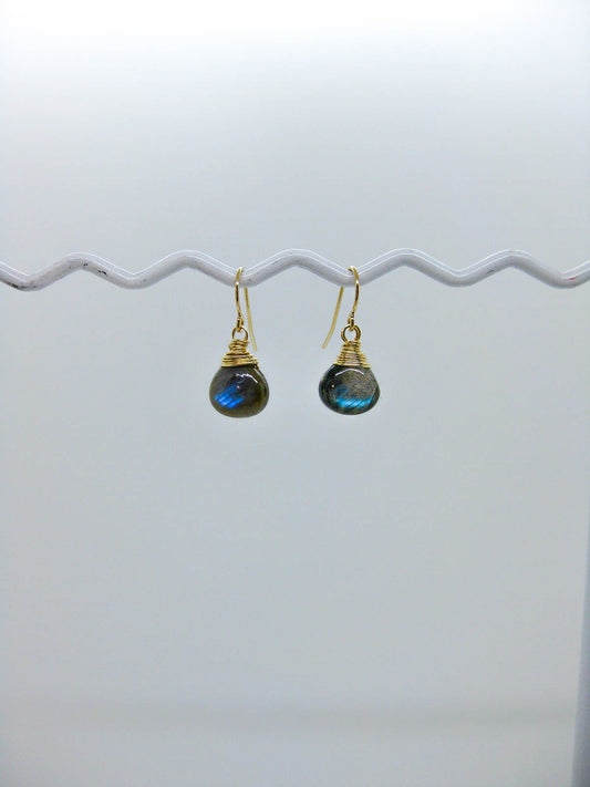 Chamomile: Labradorite Earrings - e577