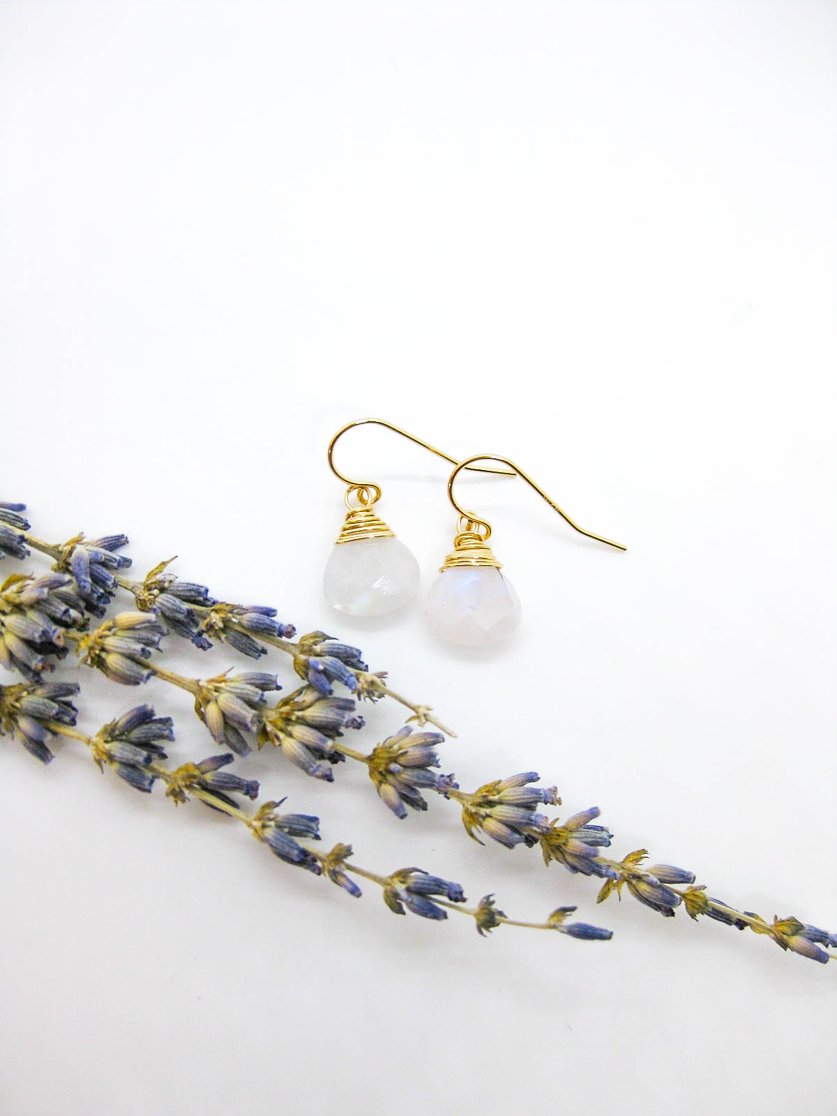 Chamomile: Moonstone Earrings - e674