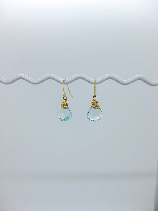 Chamomile: Aquamarine Earrings - e619