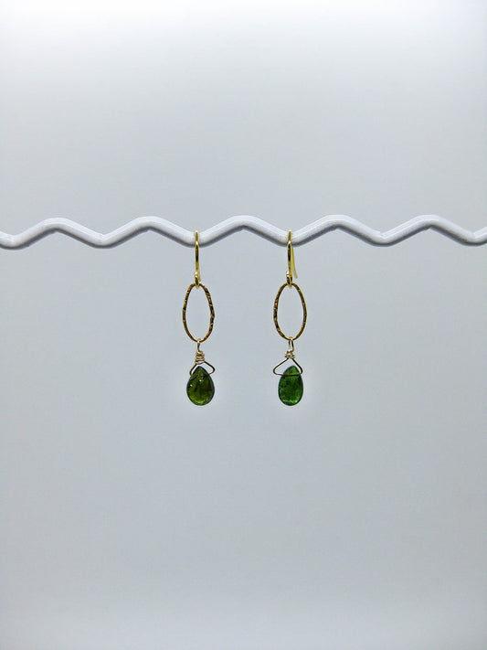 Chrysanthe: Tourmaline Earrings - e535